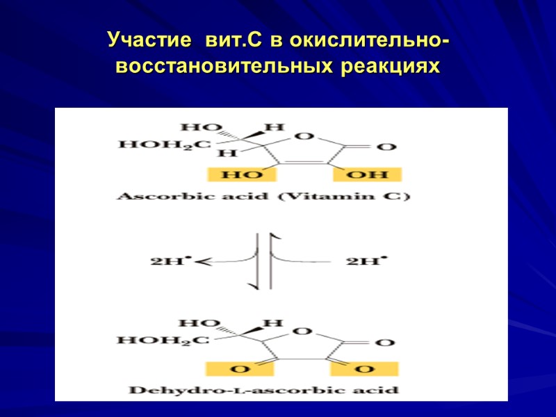 Участие вит.С в окислительно-восстановительных реакциях Участие вит.С в окислительно-восстановительных реакциях